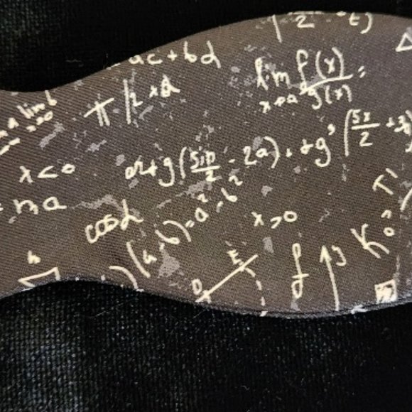 Bow Tie by Wild Ties - Math Equation motif - Picture 7 of 7